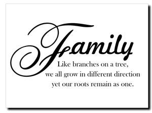 Family Like Branches on A Tree Vinyl Wall Decal Sticker Art Quote  eBay