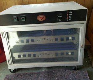 Hatchrite-incubator-for-ostrich-emu-and-rhea-eggs