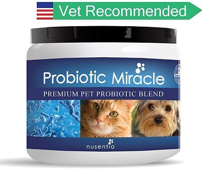 Nusentia Miracle Probiotics for Dogs Cats Skin ...