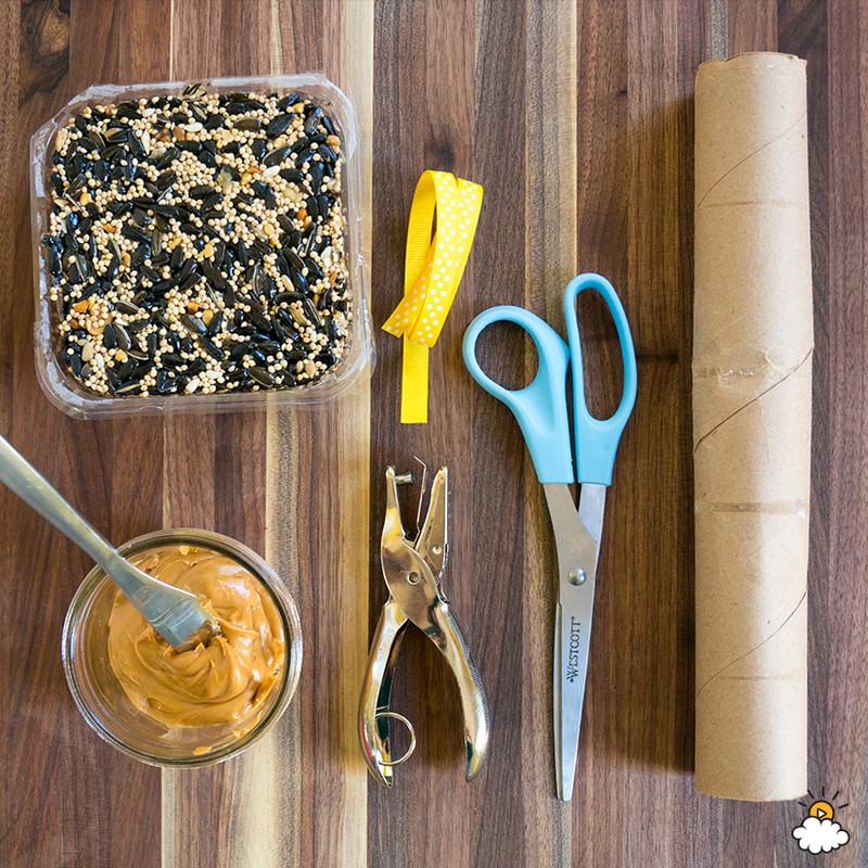 Transform A Paper Towel Roll Into A Bird Feeder In Minutes eBay