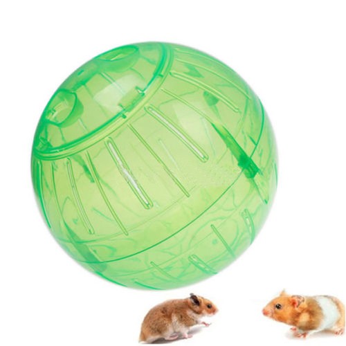 Rodent Mice Hamster Gerbil Rat Jogging Play ...