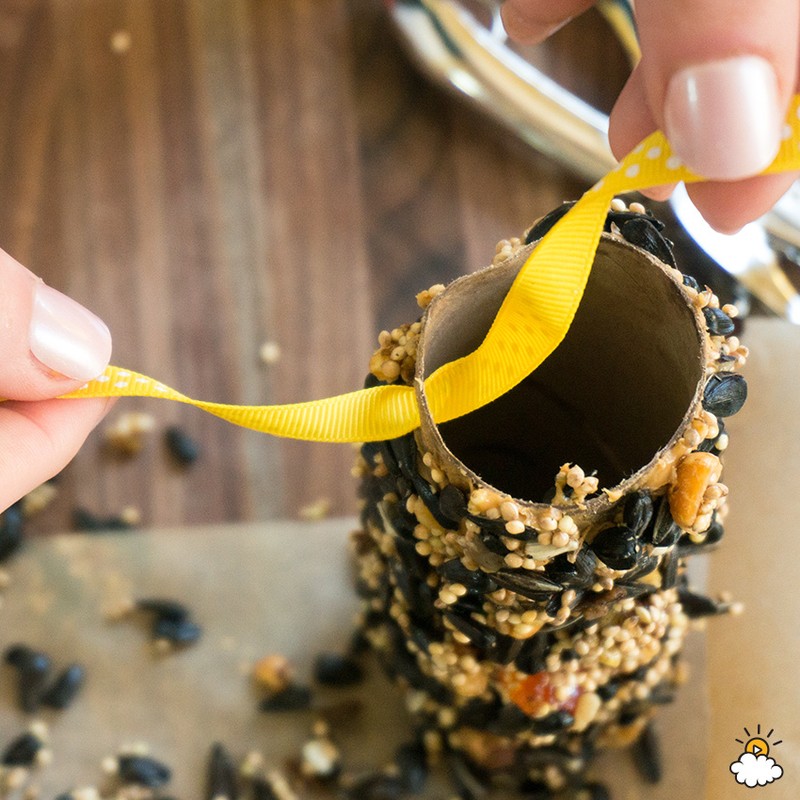 Transform A Paper Towel Roll Into A Bird Feeder In Minutes eBay