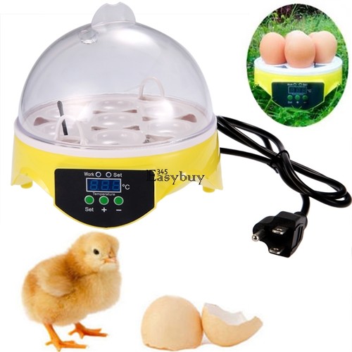 7 Eggs Mini Digital Egg Incubator Poultry ...