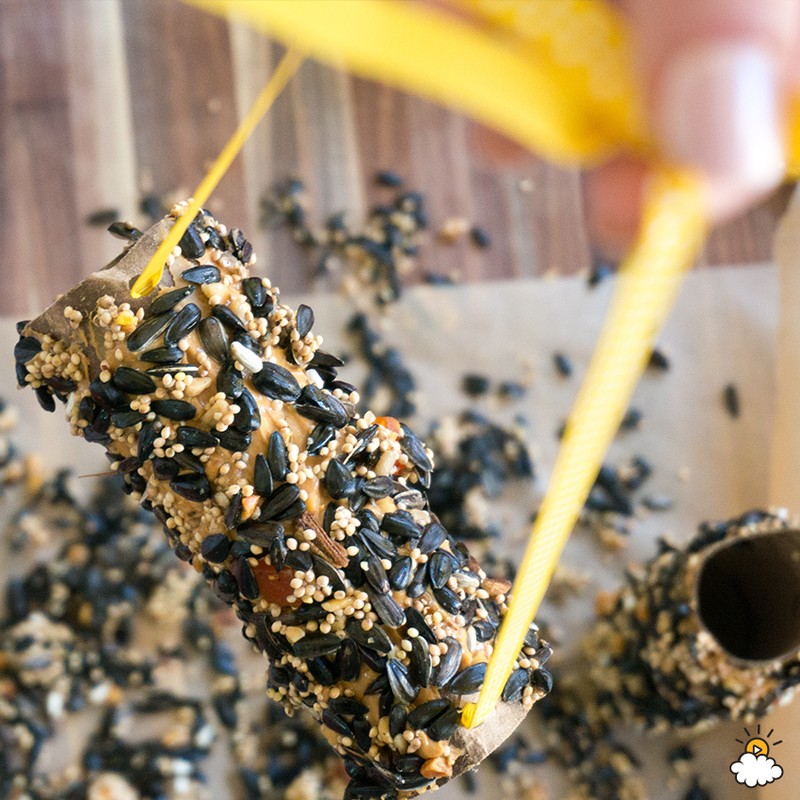 Transform A Paper Towel Roll Into A Bird Feeder In Minutes eBay