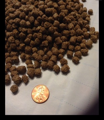 Floating Pellet Fish Food~Pond~Koi, Goldfish-Pond Pellets 22%Protein