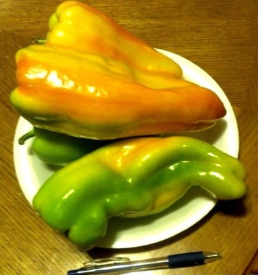 Cubanella SWEET pepper seeds natural big genetically ...