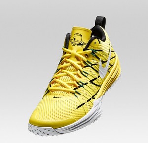Nike Free Trainer 5.0 V6 AMP M Chaussures homme Nike Free Trainer 5.0 V6 AMP M Chaussures homme