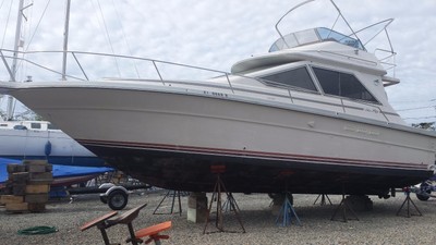 Sea Ray 345