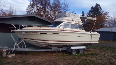 Sea Ray 270