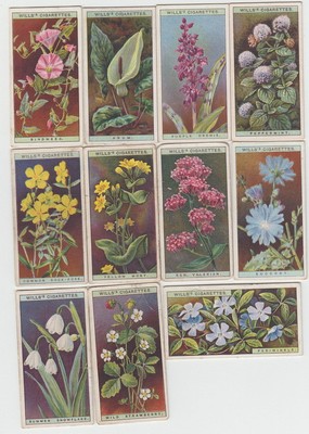 11 Antique Wild Flowers Cards from 1923