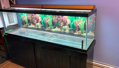 125 Gallon Aquarium Fish Tank with Stand