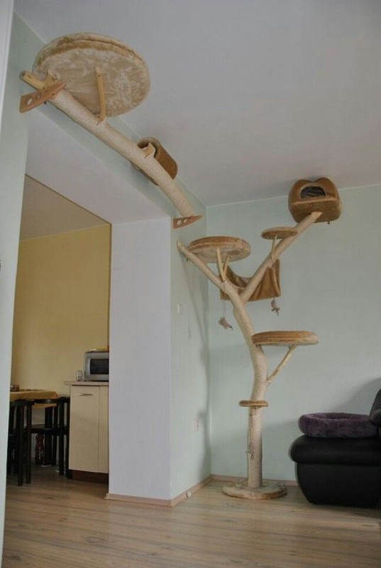 How To Get The Right Cat Tree. eBay