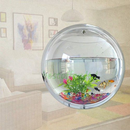 Wall Mount Hanging Fish Bubble Aquarium Bowl ...