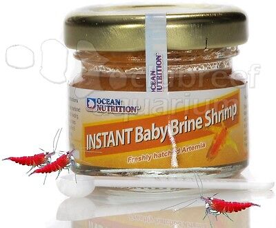 Instant Baby Brine Shrimp/Artemia Fry/Invert Fish Food ...