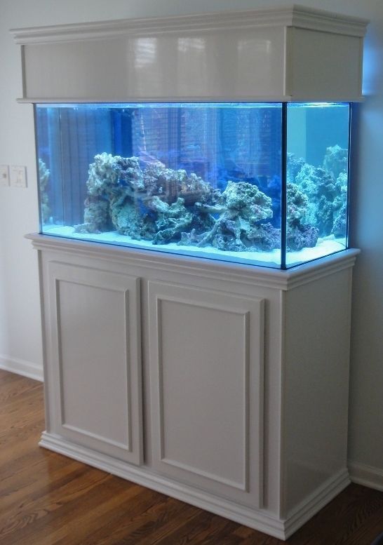 Supplies for DIY Fish Tank Stand