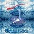 CD: Ambience Minimus by Liquid Mind (CD, Sep-1995, Chuck Wild Records)