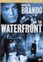 DVD: On the Waterfront (DVD, 2001, Special Edition)