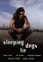 DVD: Sleeping Dogs Lie (DVD, 2006)