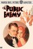DVD: The Public Enemy (DVD, 2005)