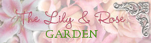 eBay Store eBay Store