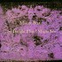 CD: So Tonight That I Might See by Mazzy Star (CD, Sep-1993, Capitol)