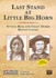 DVD: American Experience - Last Stand at Little Big Horn (DVD, 2004)