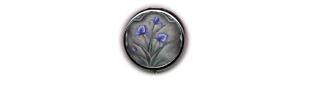 eBay Store eBay Store