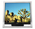 Monitor: Sony SDM-HS75P/B 17" LCD Monitor 17\