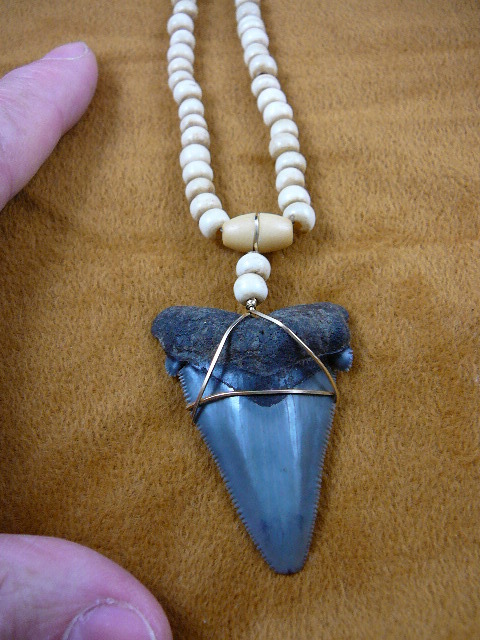 Shark Teeth Necklace
