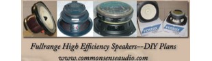 CommonSense Audio