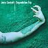 CD: Degradation Trip by Jerry Cantrell (CD, Jan-2002, Roadrunner Records)