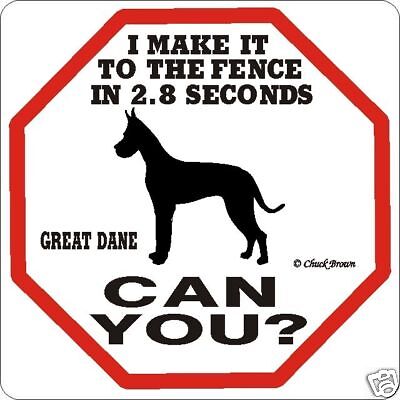 Great Dane 2.8 Fence Dog Sign - ...