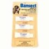 Dog Flea and Tick Remedy: Sergeants Bansect Flea & Tick Squeeze-On For Dogs Over 33 lb