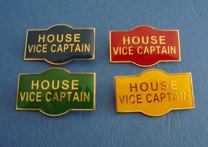 Vice Captain Badge