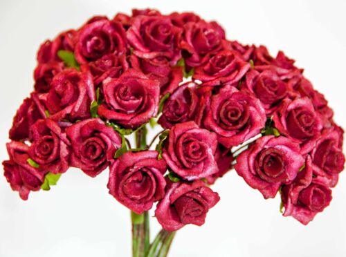 24 x 2 cm de mousse de mariage fleurs roses décoration gâteau cartes craft gratuit uk post