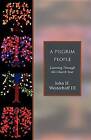 A Pilgrim People: Learning Through the Church Year by John H. Westerhoff (Paperback, 2005)