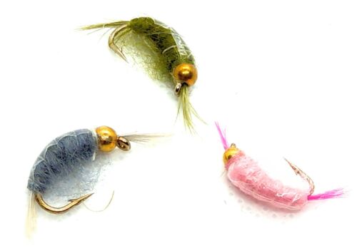 Goldhead SHRIMP Trout Flies 3 Pack SCUD Fly 3 Colours Fly Fishing Size 10,12,14