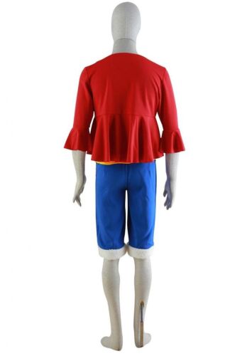 One Piece Monkey D Luffy New World Costume Outfits for Halloween & Cosplay Party 