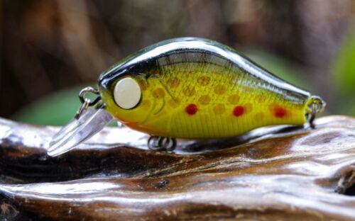 2 Bass Lures Bream Perch Cod Redfin Tailor Flathead Yellowbelly Trout Jacks Shad