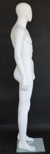 Details about  / 6 ft 2 in Male Abstract Head Mannequin Matte White Torso Form Mannequin SFM63EWT
