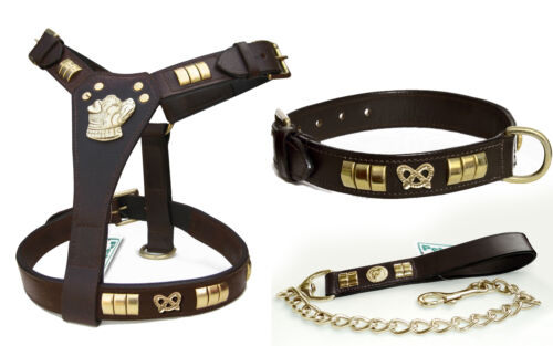 STAFFORDSHIRE BULL TERRIER LEATHER DOG HARNESS COLLAR /&LEAD SET BRASS KNOT SALE!