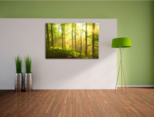 Forest Glade Canvas Picture Wall Deco Art Print