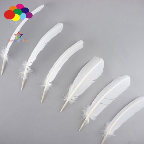 100 pcs Turkey Quills by Wing feathers 28-33 CM/11-13Inch white feather Carnival 