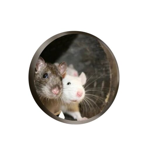 Funny Mouse Hole Decal Art Sticker for Home Door Stair Windows Wall Car Decor NZ 