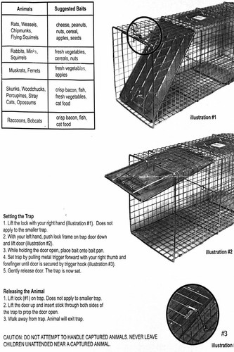 2X Humane Animal Trap 32/" Steel Cage Live Rodent Control Skunk Rabbit Opossum HG