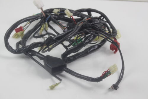 Wire Harness Assy. for GTR 150cc CPI MOTORCYCLE..Part Number: T74-23610-00-00