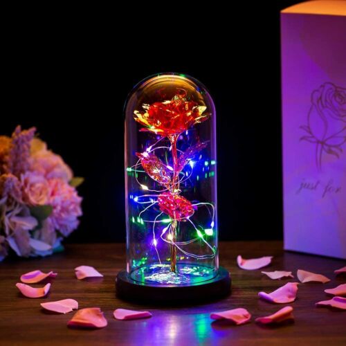 Cúpula de vidrio en rosa LED belleza y Bestia Eterna Flor Madres Día de San Valentín