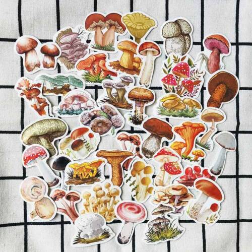 40Pcs//Set Drôle Rétro Coloré Mushroom Handbook Enfants Autocollants Fun hydi