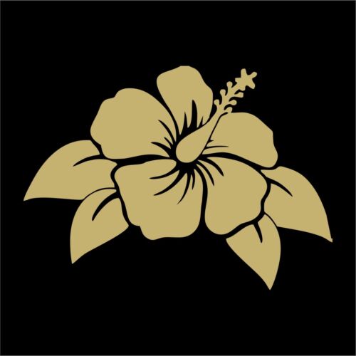 Sizes and Colors Hawaiian Hibiscus Flower Car Decal Sticker Window Wall Truck