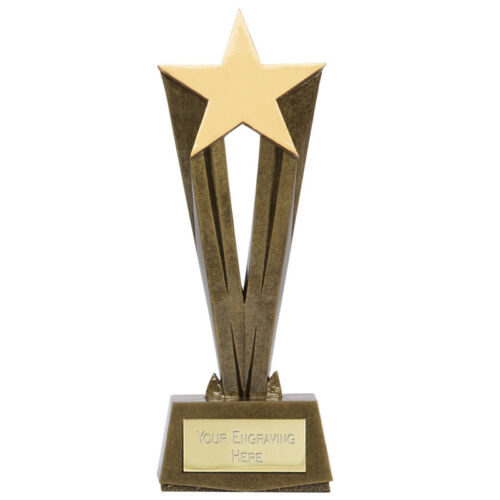 Réalisation multi award 19.5CM star /& résine flammes trophy gratuite gravure A1573B